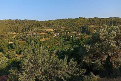 Muğla'da çimento fabrikasına açılan temyizden olumlu karar